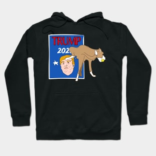 Trump 2020 Hoodie